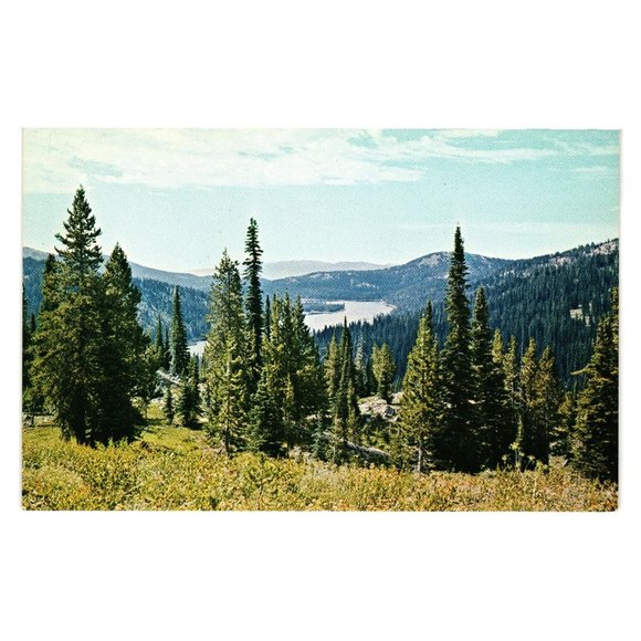 Vintage Postcard Goose Lake Idaho Trout Fishing Mountains Forest HWY 15 NCI-709 - Picture 1 of 2